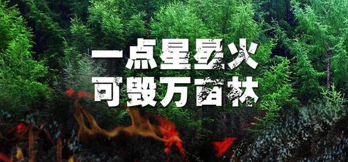 古蔺县开展2021年教育系统防震减灾应急演练
